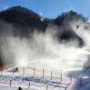 비발디렌통령 이미지