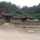 우포1대로 Daum카페