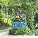 들안길애견펜션 | [전남 구례/광주근교] 애견펜션 “들안길” 1박2일 여름휴가 내돈내산/솔직후기:)