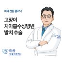 크라운 동물병원 | 대치동 치과 동물병원 고양이 치아흡수성병변 / 발치 치료 후기