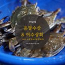 유정상회 이미지