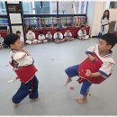 용인대 최고 태권도 이미지