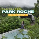 부일카정비 | 파크로쉬 리조트 앤 웰니스 - 숙암 킹 스위트 조식포함 알찬 2박 후기 (feat. 프리즘 라이브 특가)