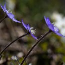 굿모닝PC 이미지