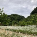 악양생태공원 방문자센터 1층 이미지