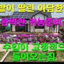 현대넘버원공인중개사사무소 이미지