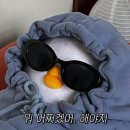 요요오락실 | 소소하지만 아주 알찬 행복으로