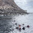 스쿠바조이 | 제주도 스쿠버다이빙 PADI 조이다이빙 후기