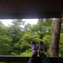 박달재휴양림 이미지