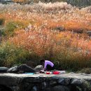 아낙네빨래터 이미지