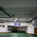 버트짐 | 경산 헬스장: 24시간 연중무휴 550평 헬스장 버트짐 재방문 솔직후기