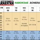 파라에스트라하복대