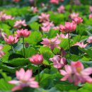 양서문화체육공원 이미지