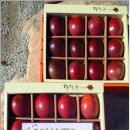 궁 민박 이미지