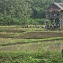 성용 농장 이미지