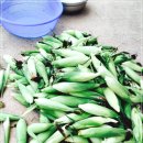 송산농장 이미지