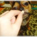 산이랑 바다 이미지