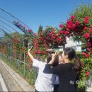 산포면사무소 네이버블로그