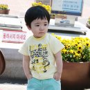 라운드쿠키 이미지