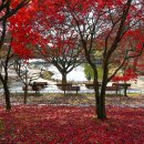 만추의 전원 이미지