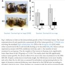 Re: 85 Metabolic management of brain cancer 2011년 토마스 사이프리드 리뷰논문 이미지