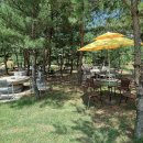 카페소담 이미지