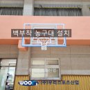 서울서래초등학교 이미지