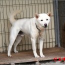 신덕축산 이미지