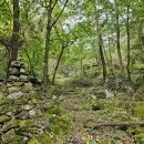 동해시-3 이미지