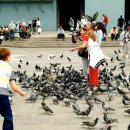 비둘기공원2 이미지