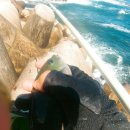 방파제 낚시 편의점 이미지