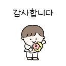 해오름태권도 이미지