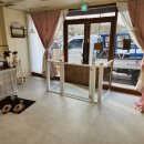 댕구르르 이미지