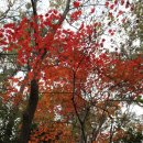 수품항 | 남도 여행 2 - 진도(수품항, 진도항, 운림산방, 첨찰산)