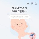 천열 | [임신일기13] 36-37주 마지막 임신일기 스압주의 / 막달검사 태동검사 출산준비 출산가방
