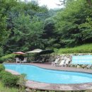 숲속의산책 펜션 이미지