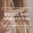웰킨마포점 | [웰킨] 환절기 탈모, 두피가 보내는 신호를 놓치지 마세요
