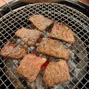 청년장어 이미지