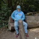 그레이트풀라이프 이미지