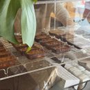 묘한인생 | [전대후문 카페] 아루쿠히토, 인생 휘낭시에와 신상 버터떡 후기 광주데이트