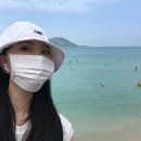 제주제비스테이 이미지