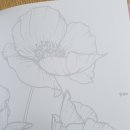 나도 할수 있는 수채화 이미지