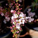 김원삼행정사사무실 이미지