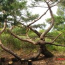 칠성슈퍼 이미지