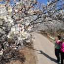 원동기사 이미지