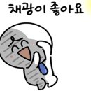 디엠씨(DMC) 이미지