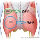 리메디얼 휘트니스 전남대점 이미지