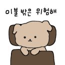 댕이브 이미지
