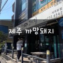 까망 | 제주 서귀포 연예인도 다녀간 흑돼지맛집 까망돼지 후기