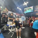 수원M복싱 이미지